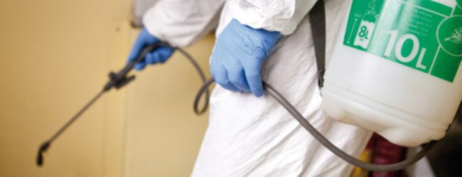 disinfestazione 650x250